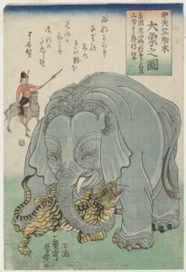 Éléphant d